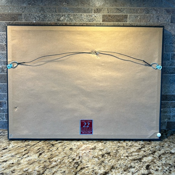 Signed Framed Print by Artist D.Bird “First Spring Ice” Newfoundland - Picture 5 of 5